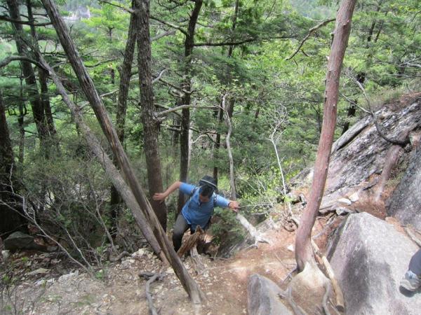 また登る・・。